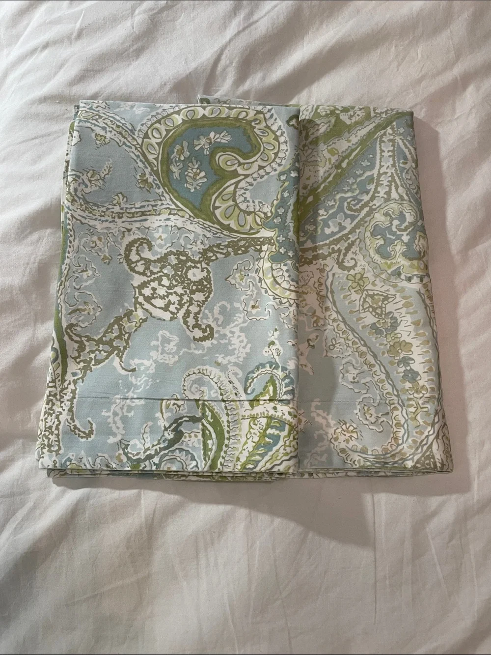 Pottery Barn 100% Cotton Blue and Green Paisley Decorative Pillow Shams